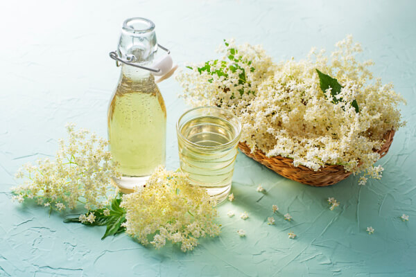 Sirup aus Holunderblüten