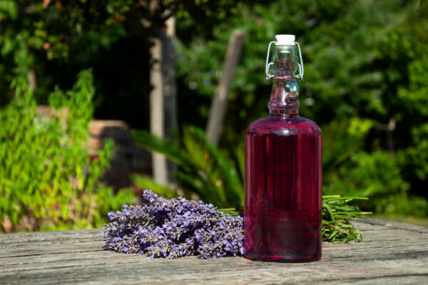 Sirup mit frischem Lavendel