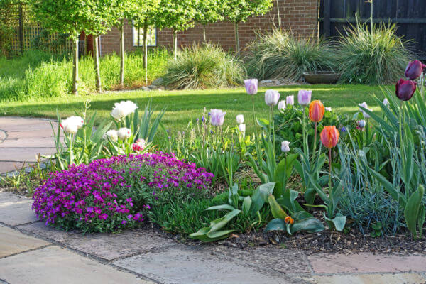 Garten in der Abendsonne