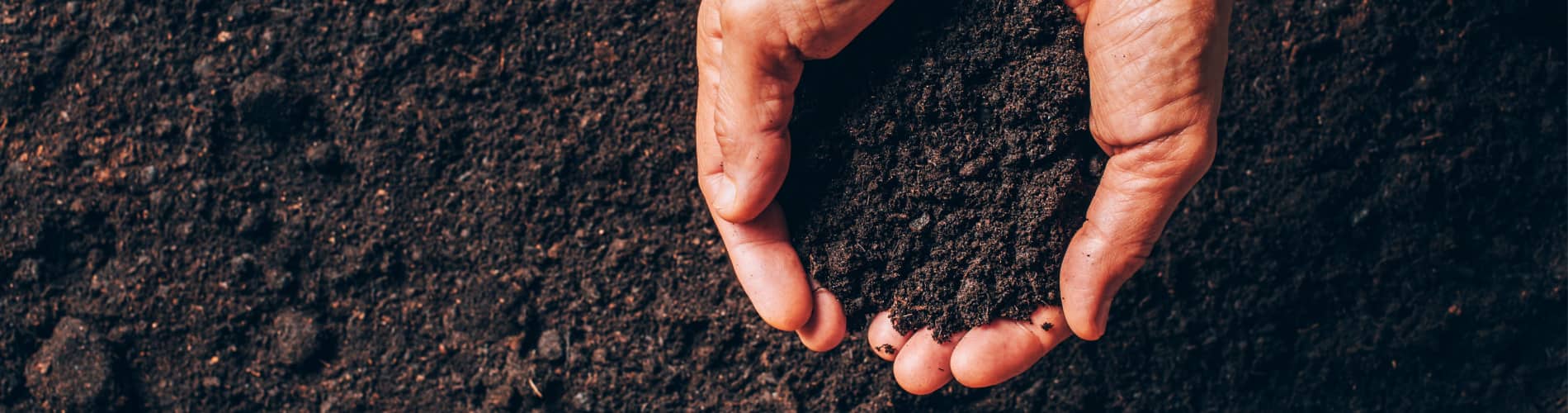 Bodenanalyse: Hände mit Erde