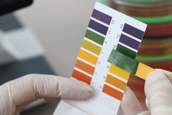 pH-Bestimmung im Labor mit Teststreifen
