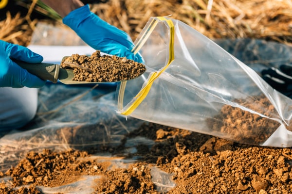 Probenahme in einen Plastikbeutel